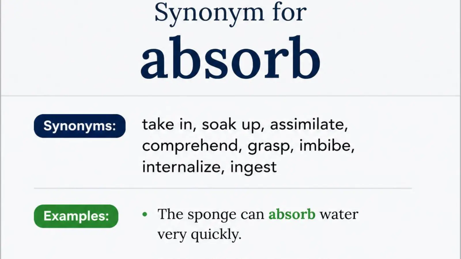 absorb synonym