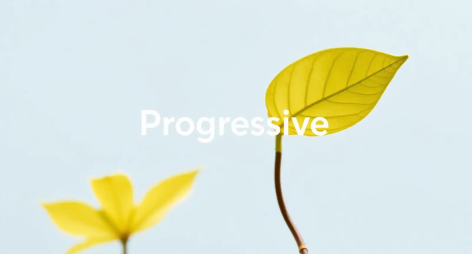 progressive synonym